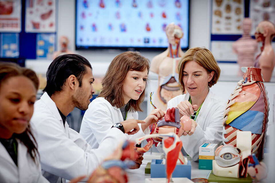 Research Skills- School of Medicine